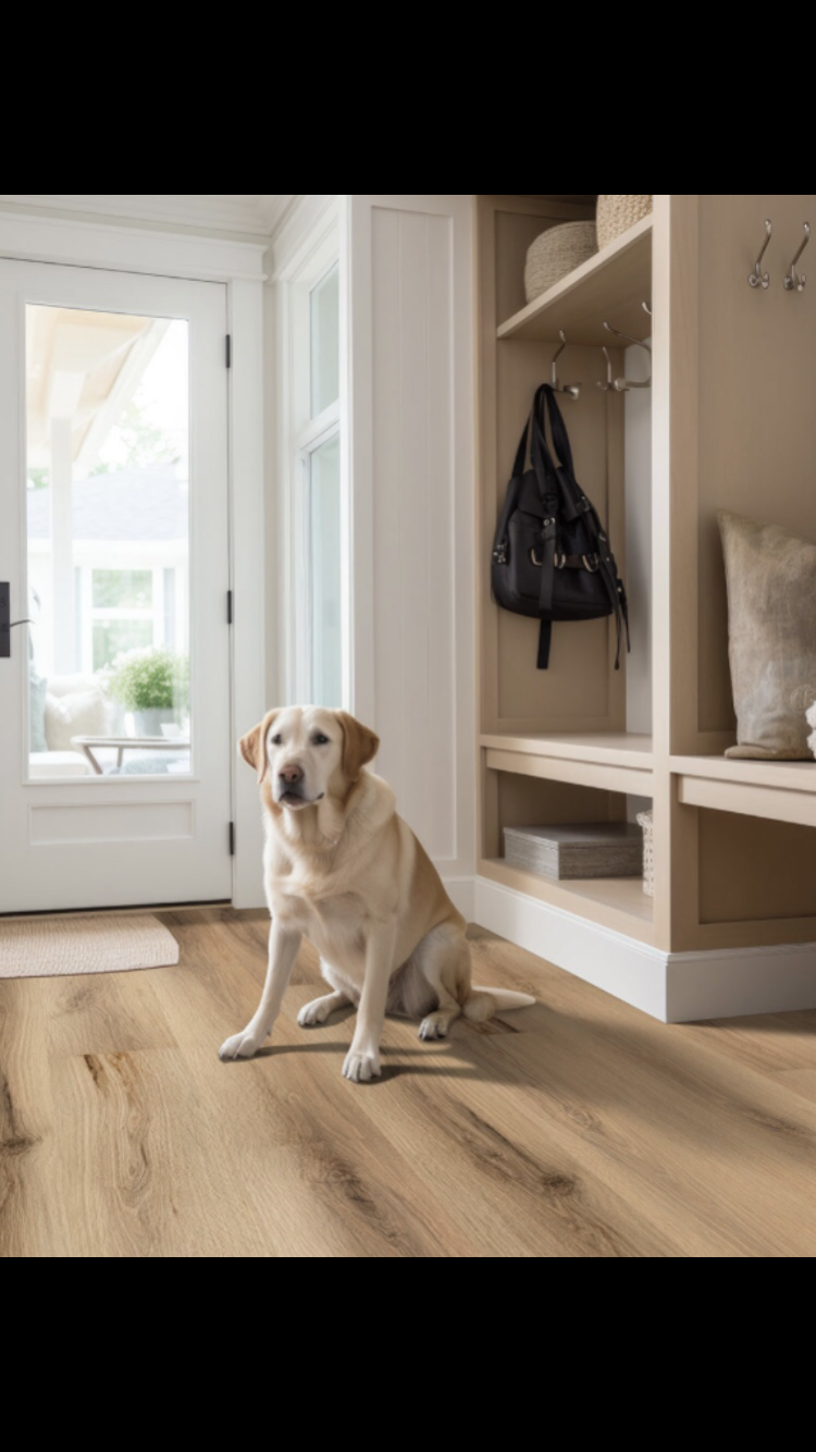 Scandi - MSI Laurel Collection