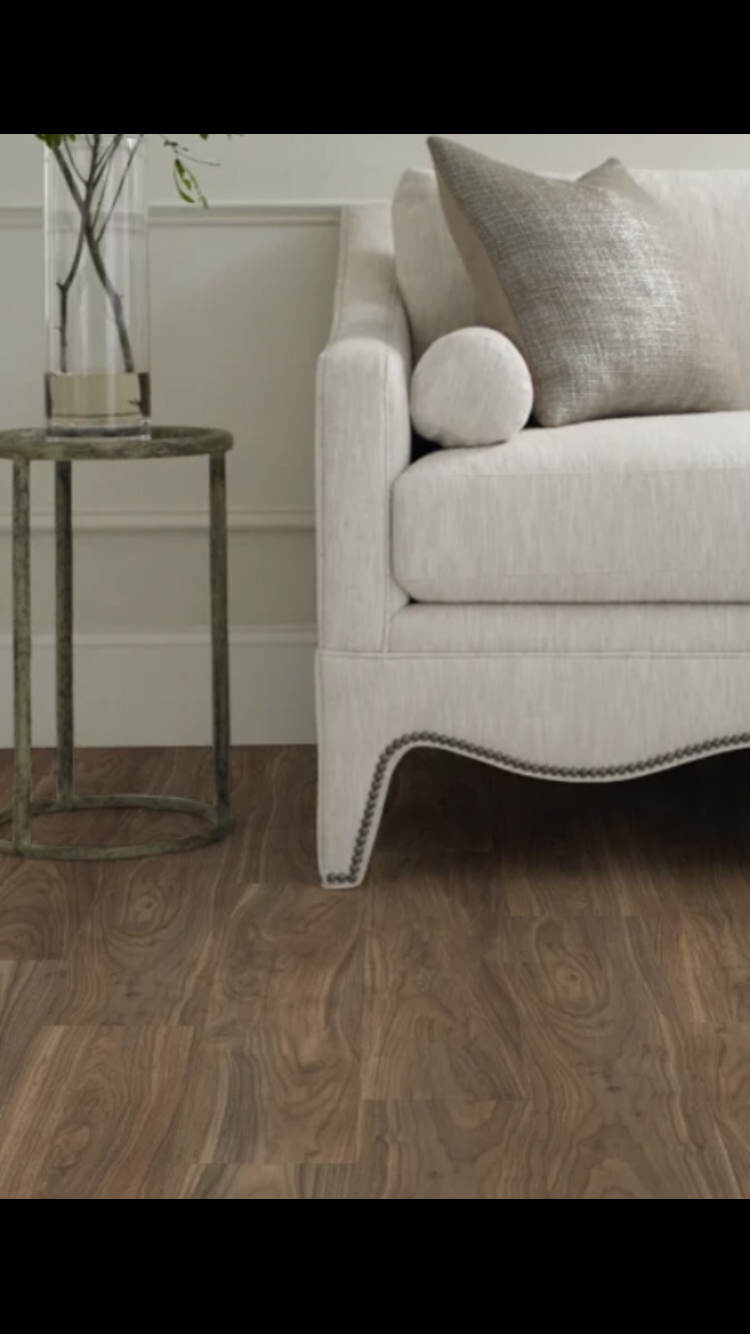 Modern Classic - Shaw Endura Paladin Floorte Pro 5