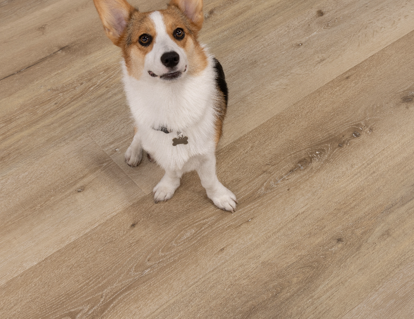 Aged Hickory - Santa Cruz Laminate - Cali Floors