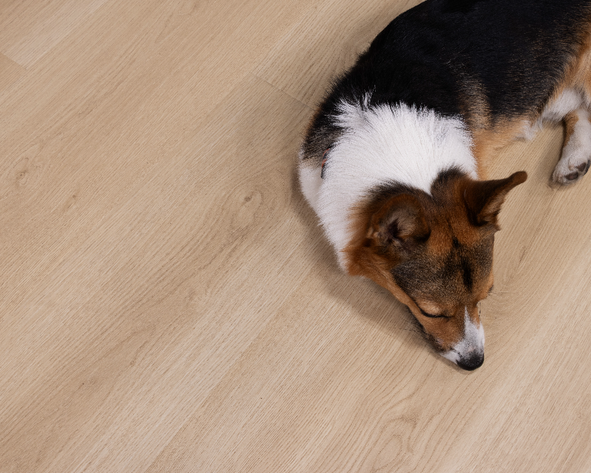 Rockaway Oak - Santa Cruz Laminate - Cali Floors