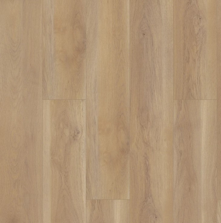 Edgemont - Shaw Vinyl Flooring - Paragon HD + Natural Bevel 3038v