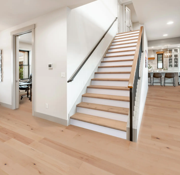 Natural Maple - Hardwood Varietals - Cali Floors