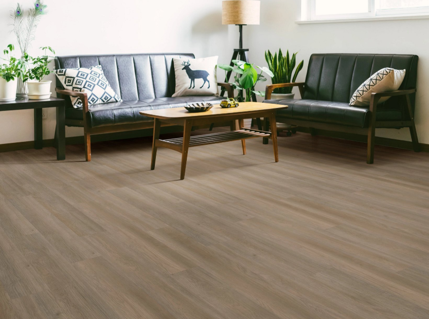 Raconteur - Shaw Infinite LL 3365v - Glue Down Vinyl Plank Flooring