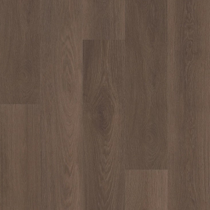 Sierra - Shaw Vinyl Plank - Ascent Natural Bevel 2832v