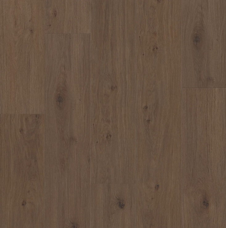 Tuxedo Bronze - Shaw Vinyl Flooring - Fresh Take 3415v