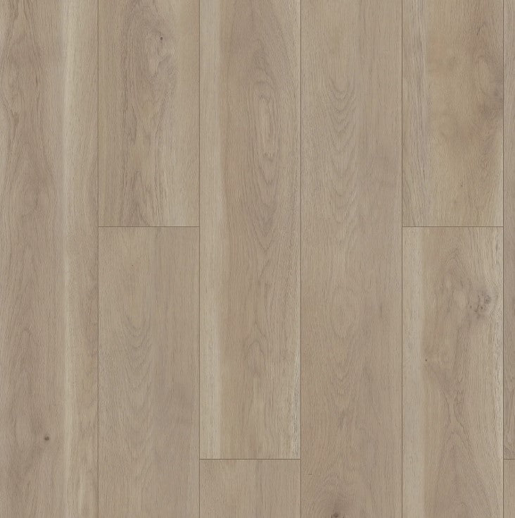 Wisteria - Shaw Vinyl Flooring - Paragon HD + Natural Bevel 3038v
