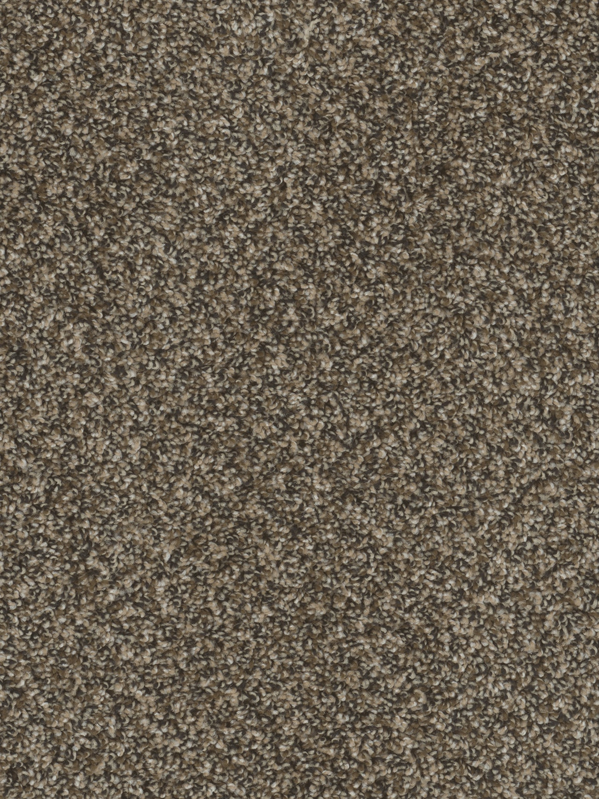 %flooring% %rigid_core% %the_floor_store_direct% %vinyl_floor% %floors% %floor% %specialty% %waterproof% %wearlayer% %spc% %spc_core% %wpc% %wpc_core% %vinyl_flooring%