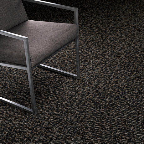 %flooring% %rigid_core% %the_floor_store_direct% %vinyl_floor% %floors% %floor% %specialty% %waterproof% %wearlayer% %spc% %spc_core% %wpc% %wpc_core% %vinyl_flooring%