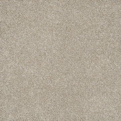 %flooring% %rigid_core% %the_floor_store_direct% %vinyl_floor% %floors% %floor% %specialty% %waterproof% %wearlayer% %spc% %spc_core% %wpc% %wpc_core% %vinyl_flooring%