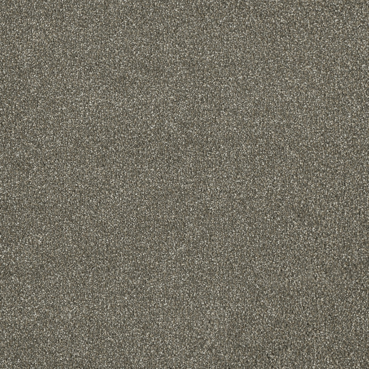 %flooring% %rigid_core% %the_floor_store_direct% %vinyl_floor% %floors% %floor% %specialty% %waterproof% %wearlayer% %spc% %spc_core% %wpc% %wpc_core% %vinyl_flooring%