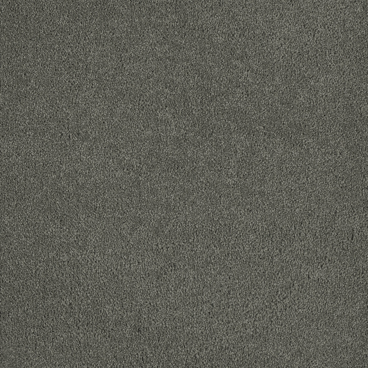 %flooring% %rigid_core% %the_floor_store_direct% %vinyl_floor% %floors% %floor% %specialty% %waterproof% %wearlayer% %spc% %spc_core% %wpc% %wpc_core% %vinyl_flooring%