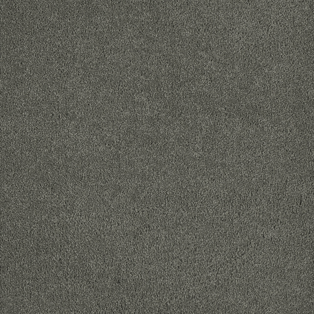 %flooring% %rigid_core% %the_floor_store_direct% %vinyl_floor% %floors% %floor% %specialty% %waterproof% %wearlayer% %spc% %spc_core% %wpc% %wpc_core% %vinyl_flooring%