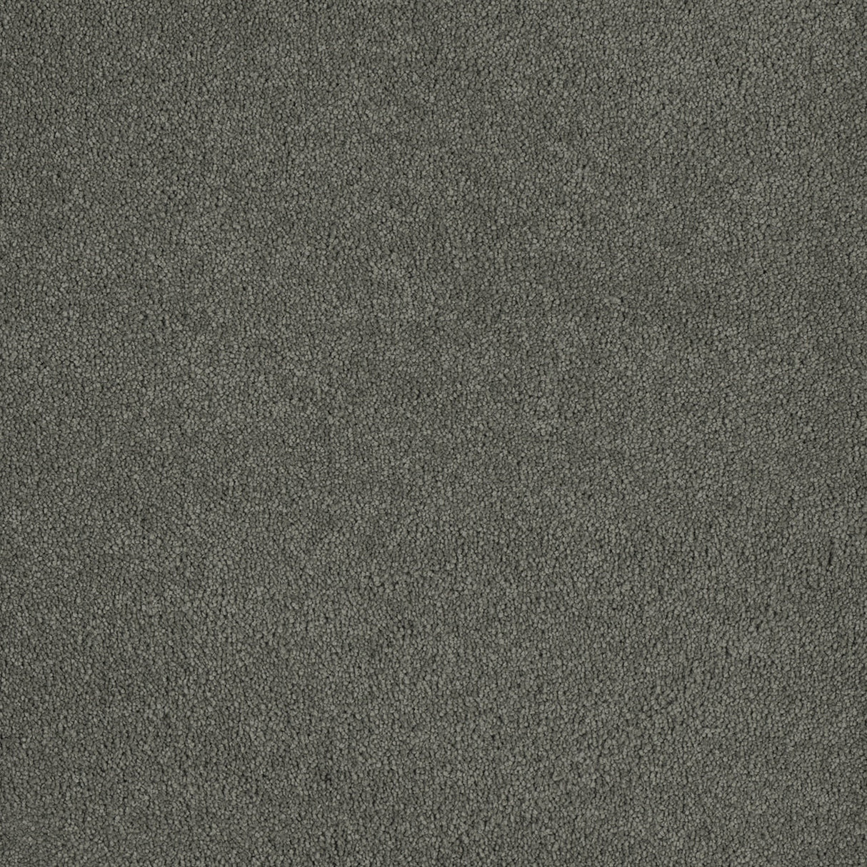 %flooring% %rigid_core% %the_floor_store_direct% %vinyl_floor% %floors% %floor% %specialty% %waterproof% %wearlayer% %spc% %spc_core% %wpc% %wpc_core% %vinyl_flooring%