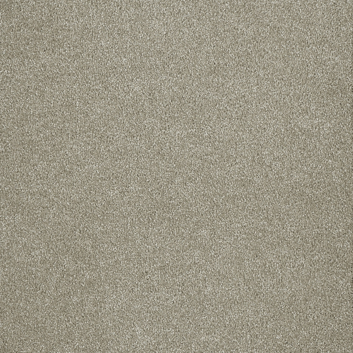 %flooring% %rigid_core% %the_floor_store_direct% %vinyl_floor% %floors% %floor% %specialty% %waterproof% %wearlayer% %spc% %spc_core% %wpc% %wpc_core% %vinyl_flooring%