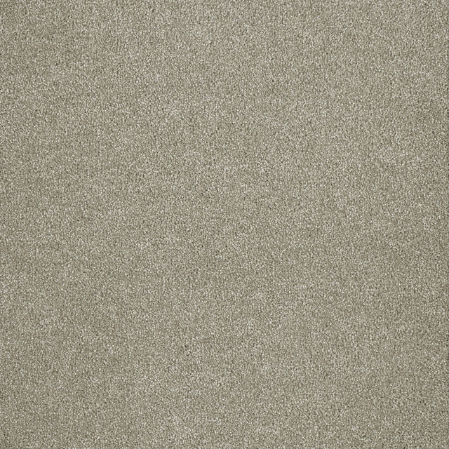 %flooring% %rigid_core% %the_floor_store_direct% %vinyl_floor% %floors% %floor% %specialty% %waterproof% %wearlayer% %spc% %spc_core% %wpc% %wpc_core% %vinyl_flooring%