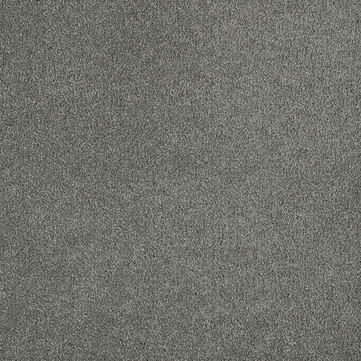 %flooring% %rigid_core% %the_floor_store_direct% %vinyl_floor% %floors% %floor% %specialty% %waterproof% %wearlayer% %spc% %spc_core% %wpc% %wpc_core% %vinyl_flooring%