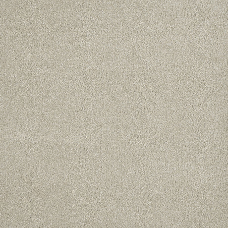 %flooring% %rigid_core% %the_floor_store_direct% %vinyl_floor% %floors% %floor% %specialty% %waterproof% %wearlayer% %spc% %spc_core% %wpc% %wpc_core% %vinyl_flooring%