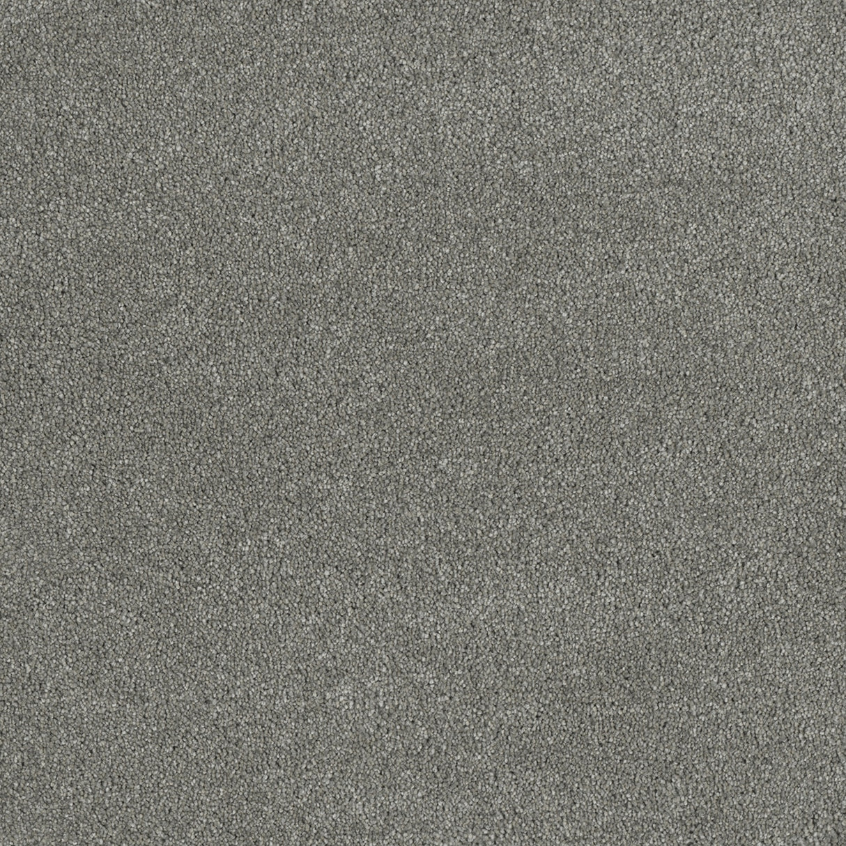 %flooring% %rigid_core% %the_floor_store_direct% %vinyl_floor% %floors% %floor% %specialty% %waterproof% %wearlayer% %spc% %spc_core% %wpc% %wpc_core% %vinyl_flooring%