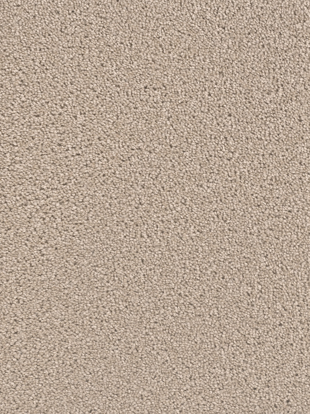 %flooring% %rigid_core% %the_floor_store_direct% %vinyl_floor% %floors% %floor% %specialty% %waterproof% %wearlayer% %spc% %spc_core% %wpc% %wpc_core% %vinyl_flooring%