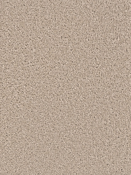 %flooring% %rigid_core% %the_floor_store_direct% %vinyl_floor% %floors% %floor% %specialty% %waterproof% %wearlayer% %spc% %spc_core% %wpc% %wpc_core% %vinyl_flooring%