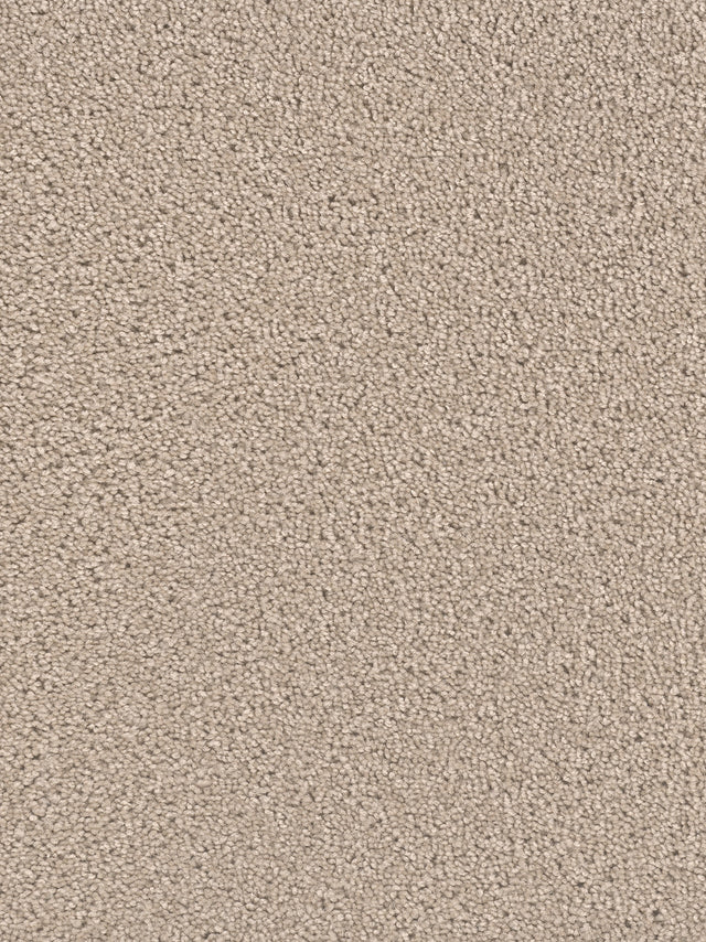 %flooring% %rigid_core% %the_floor_store_direct% %vinyl_floor% %floors% %floor% %specialty% %waterproof% %wearlayer% %spc% %spc_core% %wpc% %wpc_core% %vinyl_flooring%