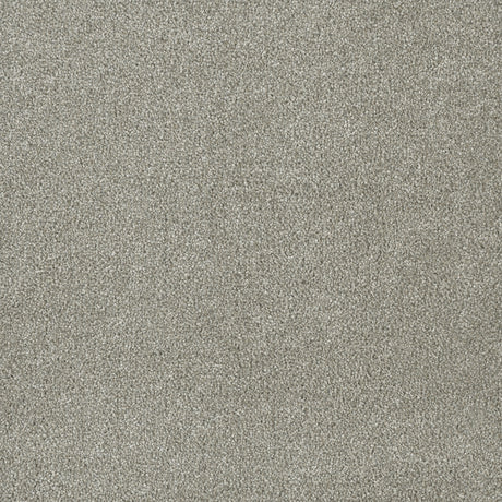 %flooring% %rigid_core% %the_floor_store_direct% %vinyl_floor% %floors% %floor% %specialty% %waterproof% %wearlayer% %spc% %spc_core% %wpc% %wpc_core% %vinyl_flooring%