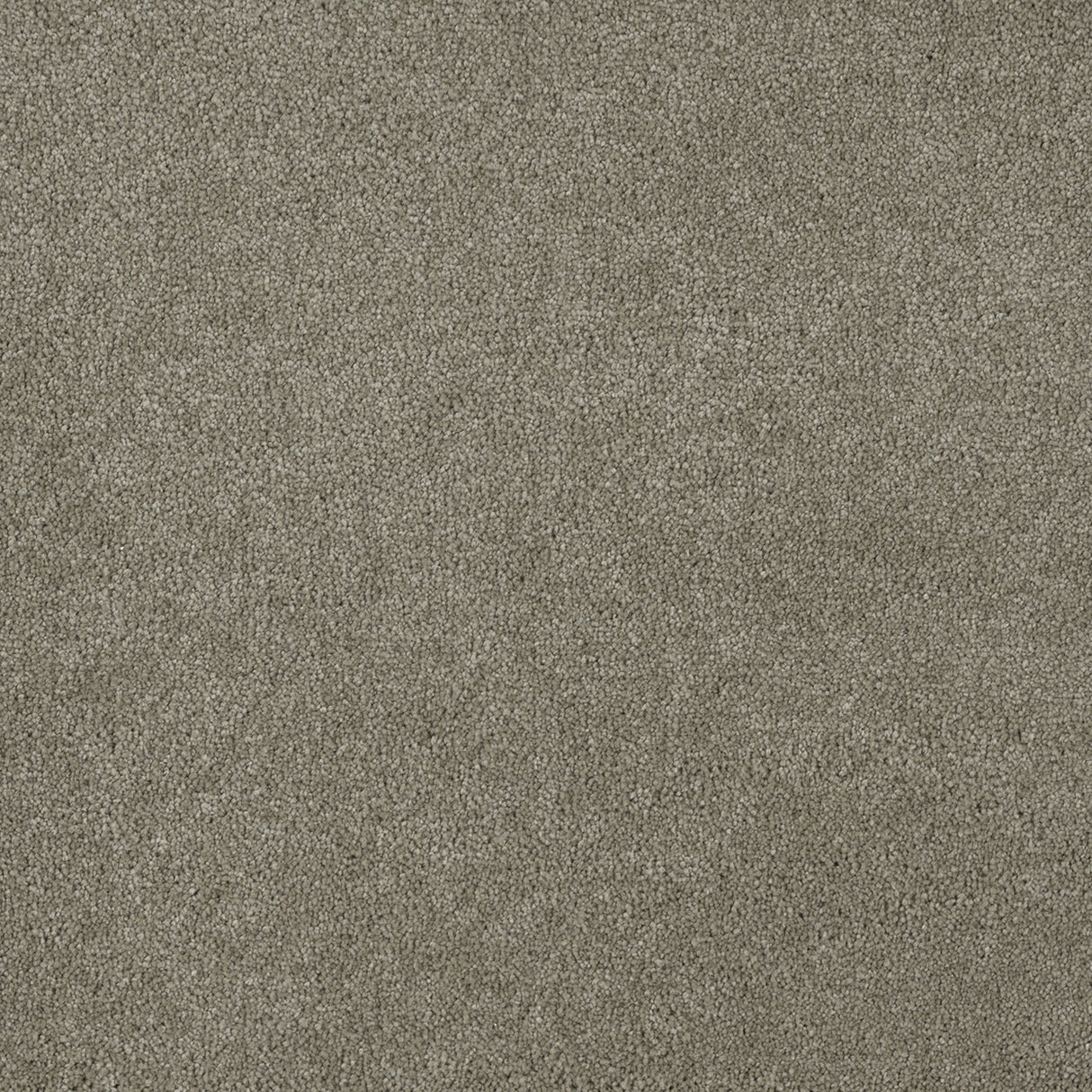 %flooring% %rigid_core% %the_floor_store_direct% %vinyl_floor% %floors% %floor% %specialty% %waterproof% %wearlayer% %spc% %spc_core% %wpc% %wpc_core% %vinyl_flooring%