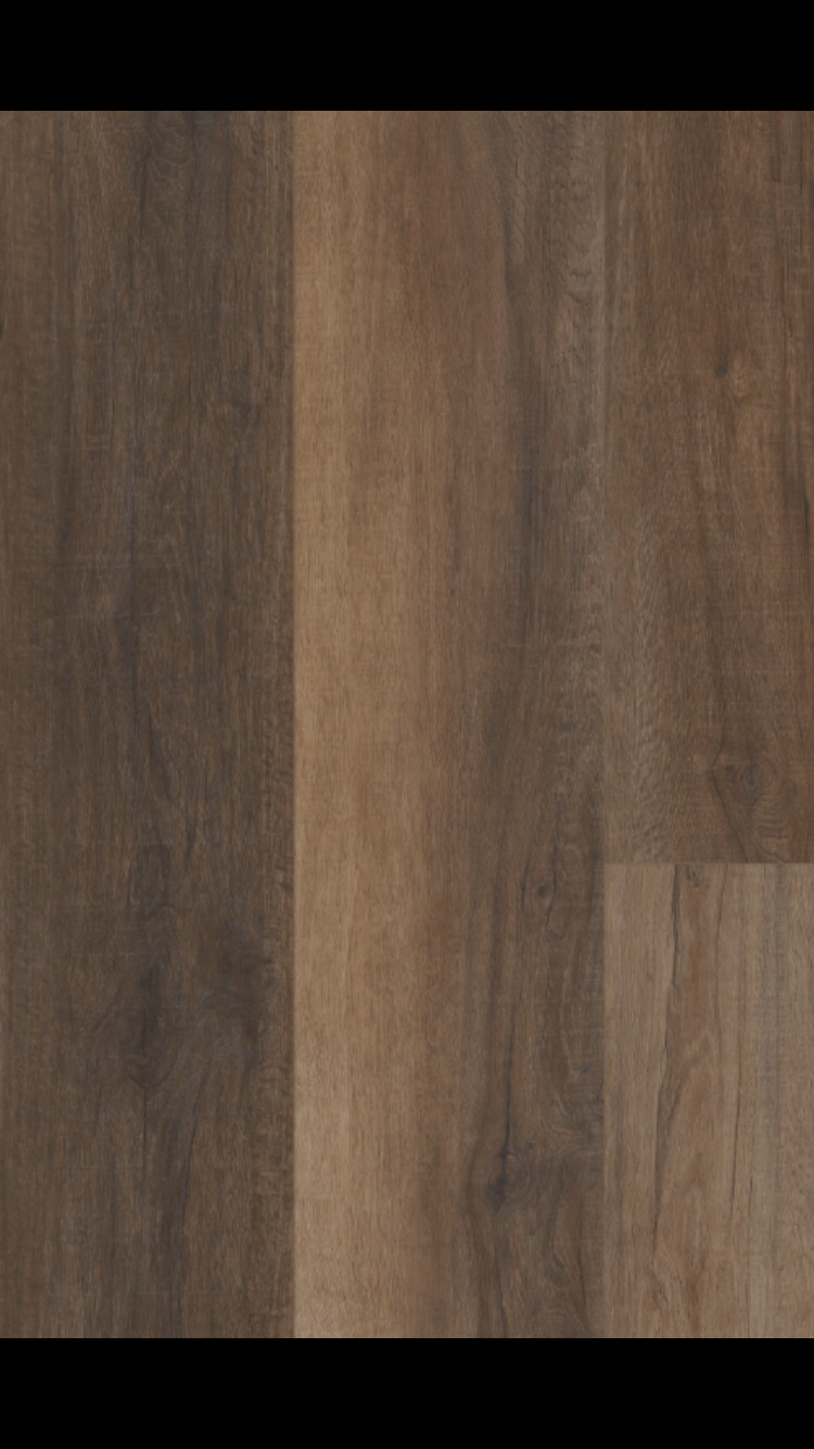 Cheshire Elm - Coretec vv488 Pro Enhanced