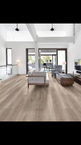 Lighthouse - Shaw Endura Paladin Floorte Pro 5