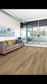 Privet Pine - Coretec vv674 Scratchless