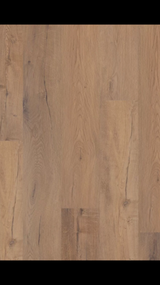 Sand Dollar Oak - Coretec vv810 Originals Premium