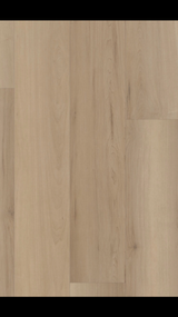 Woodbury Maple - Coretec vv585 Original Classics