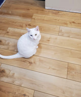 Manila Oak - Coretec vv012 Originals Enhanced