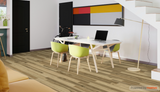Acadia - Cultivate D2023 - Pure Grain by Engineered Floors
