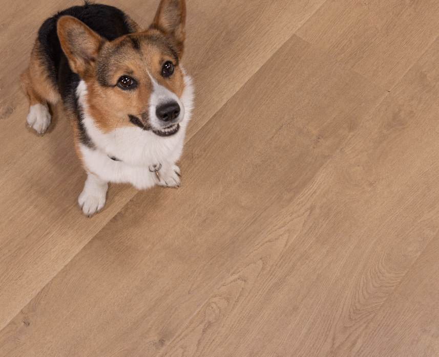 Belmont Bluffs - Santa Cruz Laminate - Cali Floors
