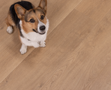 Belmont Bluffs - Santa Cruz Laminate - Cali Floors
