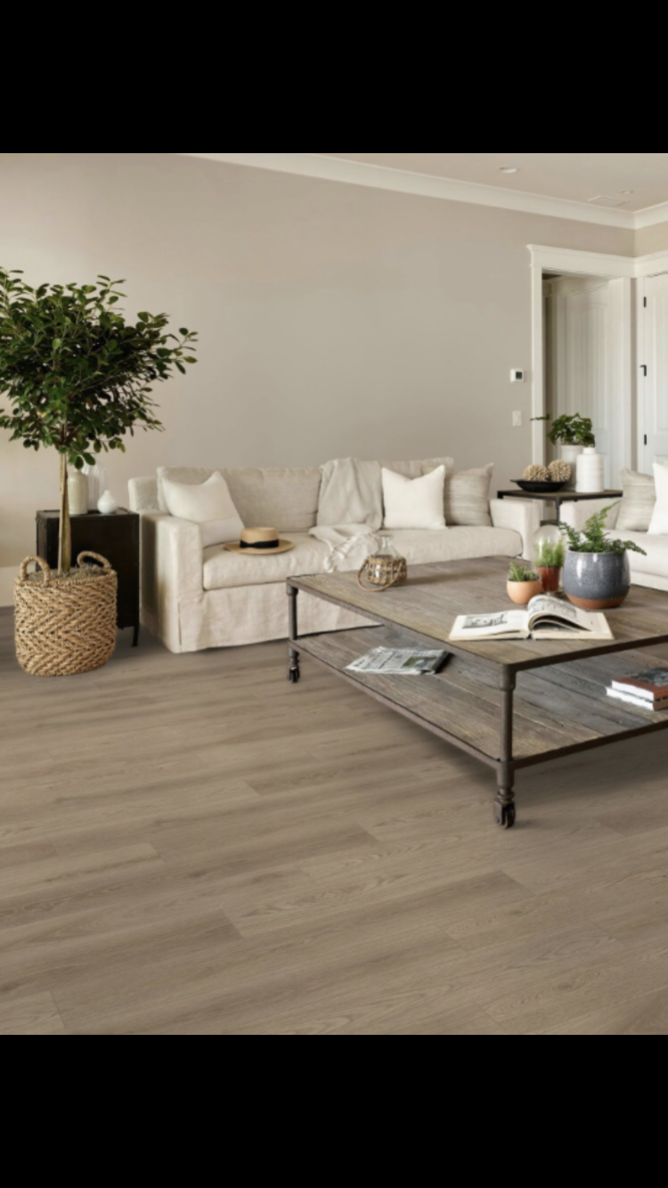 Ponder - Shaw Vinyl Plank Flooring - Pantheon HD Natural Bevel 1051v