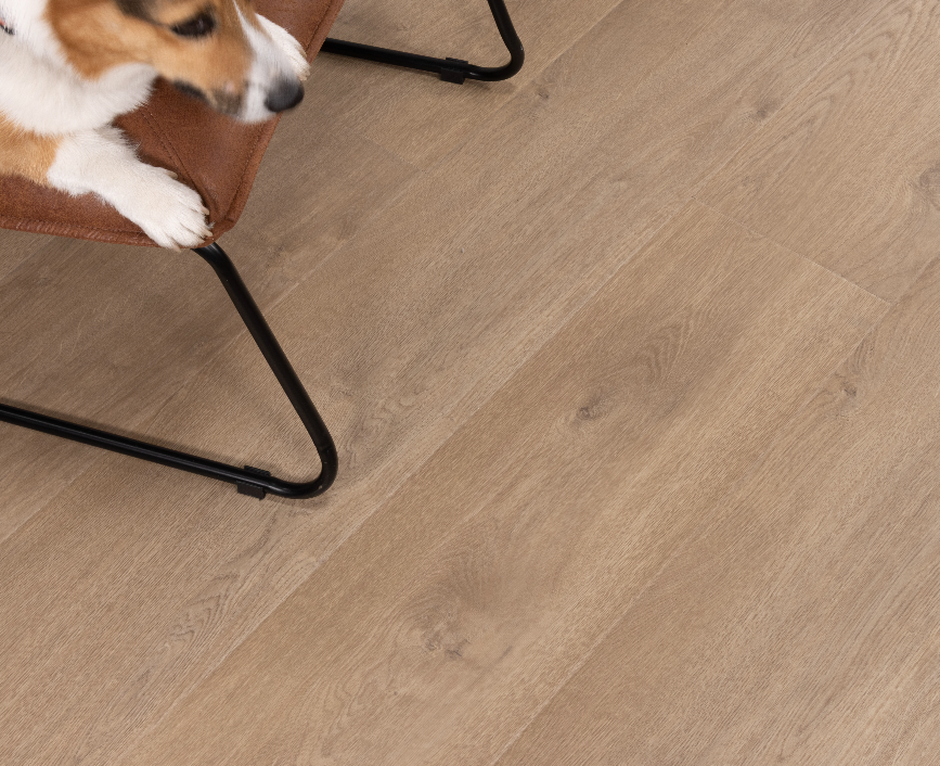 Del Mar Drift - Santa Cruz Laminate - Cali Floors
