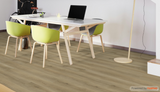 Edgewood - Elevate W021 - Pure Grain by Engineered Floors