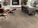 Simple Wash - Shaw 0736v - Endura Floorte Pro 5 Vinyl Plank Flooring