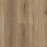 Wild Dunes - Shaw Endura Paladin Floorte Pro 5
