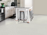 Arctic - Shaw Vinyl Plank Flooring - Apex 3438v