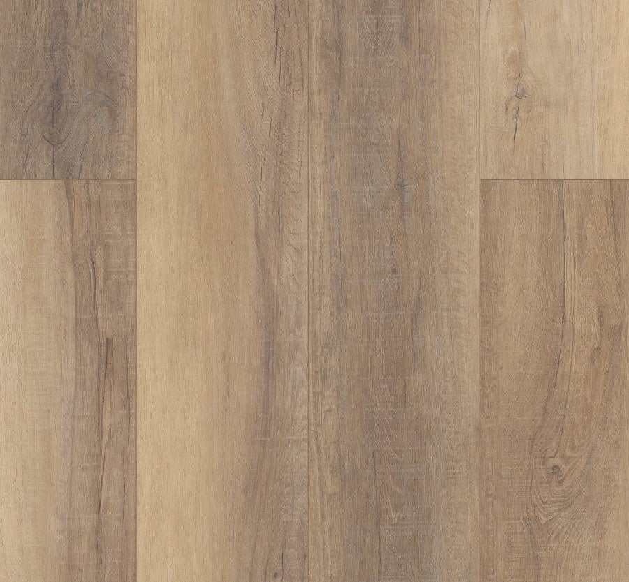 Bastion Elm - Coretec vv488 Pro Enhanced