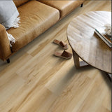 Butterfly White - Shaw Vinyl Flooring - Fresh Take 3415v