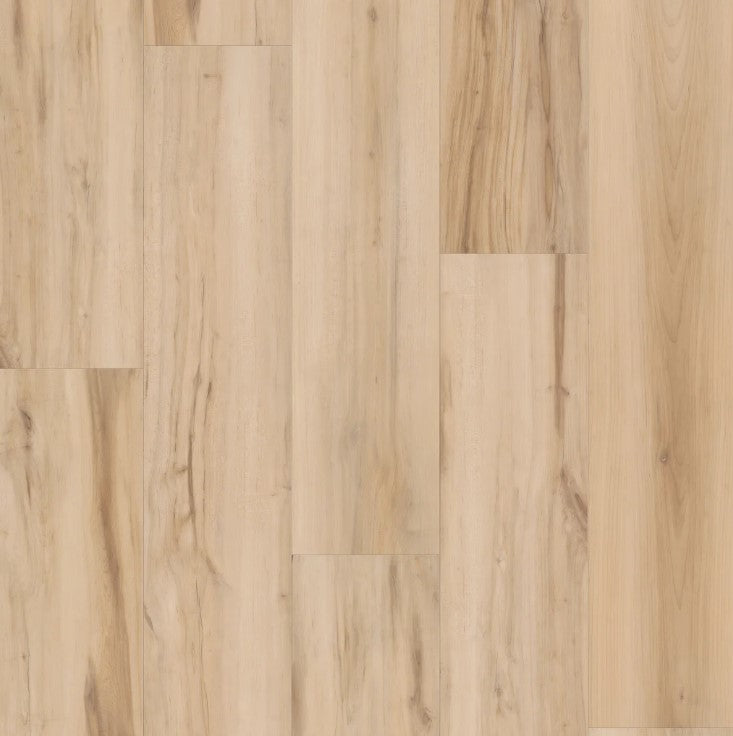 Butterfly White - Shaw Vinyl Flooring - Fresh Take 3415v