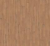 Champagne Sea - Cali Floors - Barrel Hardwood