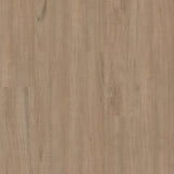 Chatter Oak - Shaw Vinyl Flooring - Anvil Plus 2357v