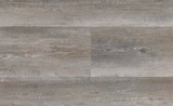 Driftwood - Neptune - Allusive