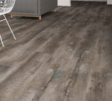 Driftwood - Neptune - Allusive