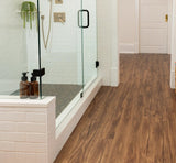 Gold Coast Acacia - Coretec vv023 Originals Classics